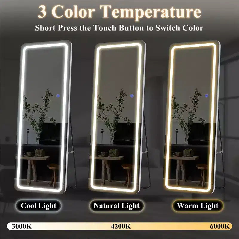 Miroir de courtoisie rectangulaire moderne pleine longueur à LED, 20 po L x 63 po H, avec lumières, en argent