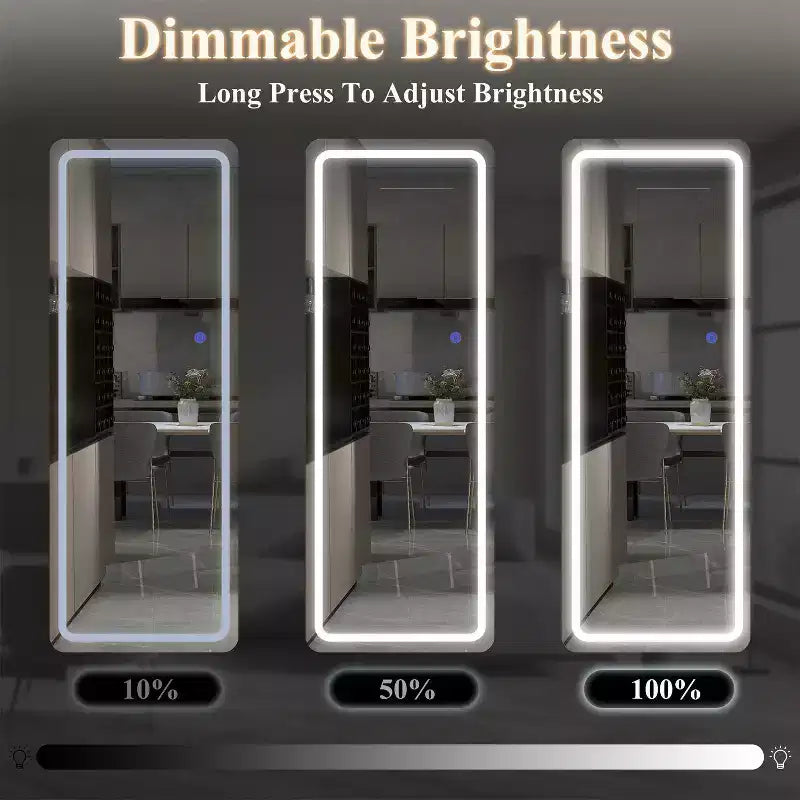 Miroir de courtoisie rectangulaire moderne pleine longueur à LED, 20 po L x 63 po H, avec lumières, en argent