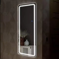 PexFix 20 in. W x 63 in. H Modern Full Length Rectangular LED Vanity Mirror with Lights in Silver