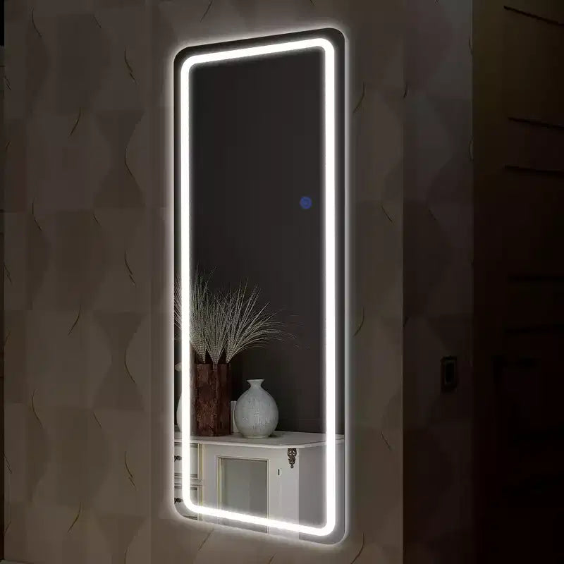 PexFix 20 in. W x 63 in. H Modern Full Length Rectangular LED Vanity Mirror with Lights in Silver
