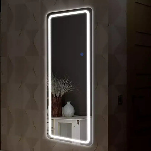 PexFix 20 in. W x 63 in. H Modern Full Length Rectangular LED Vanity Mirror with Lights in Silver